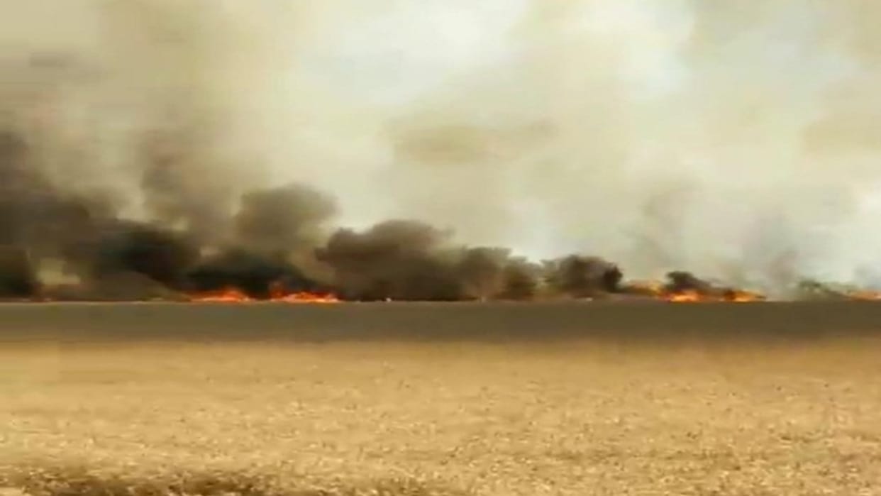 Gwalior: Wheat crop in a field of 15 hundred bighas destroyed by fire, farmers lost crores