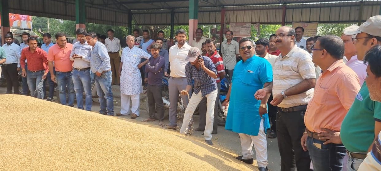 Preparations to send 78 thousand metric tons of wheat abroad, government procurement in danger
