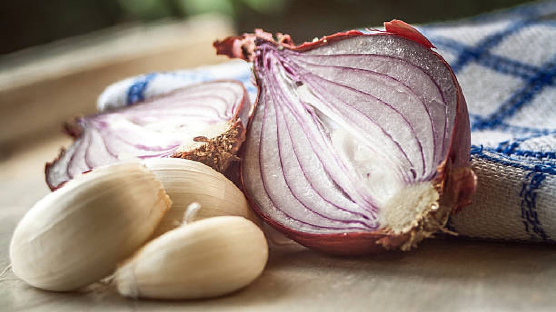 Shardiya Navratri 2022 Why We Don't Eat Onion And Garlic In Navratri Know Story Behind It In Hindi