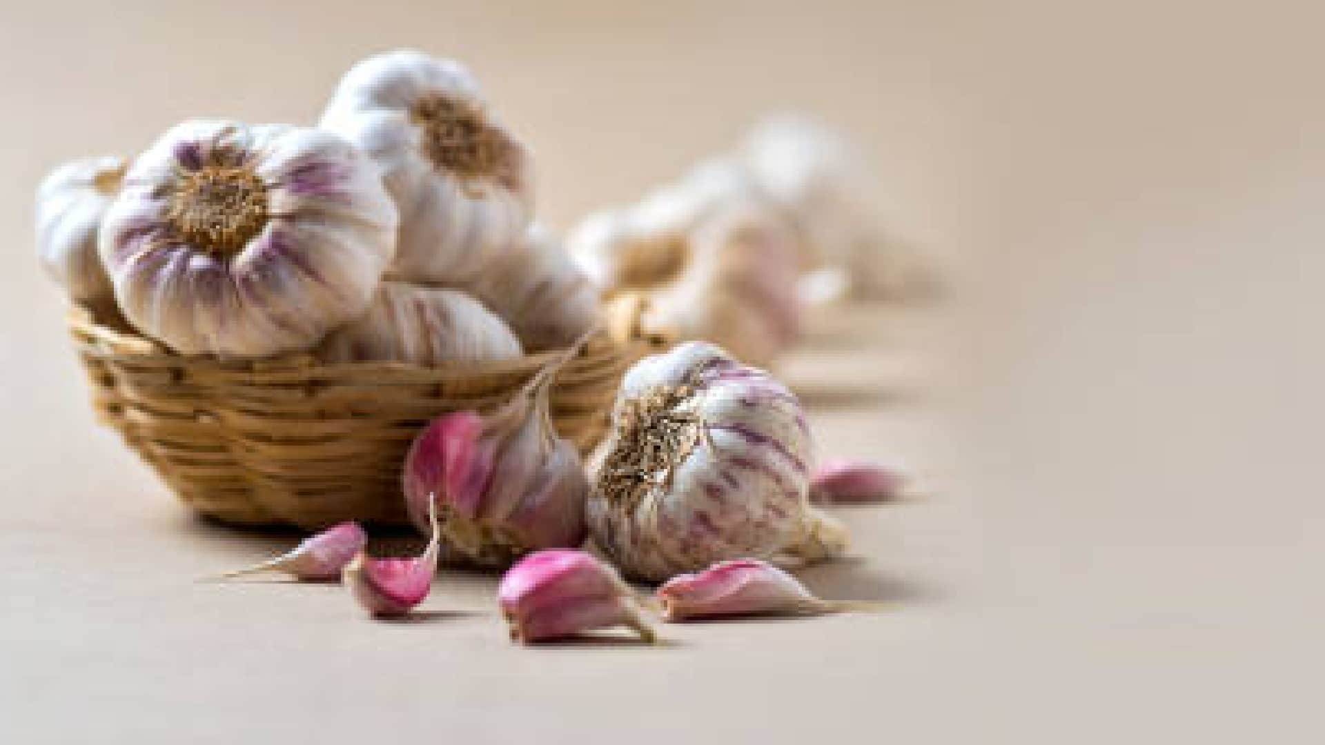 Why Onion And Garlic Avoid To Eat In Navratri Know Reason In Hindi