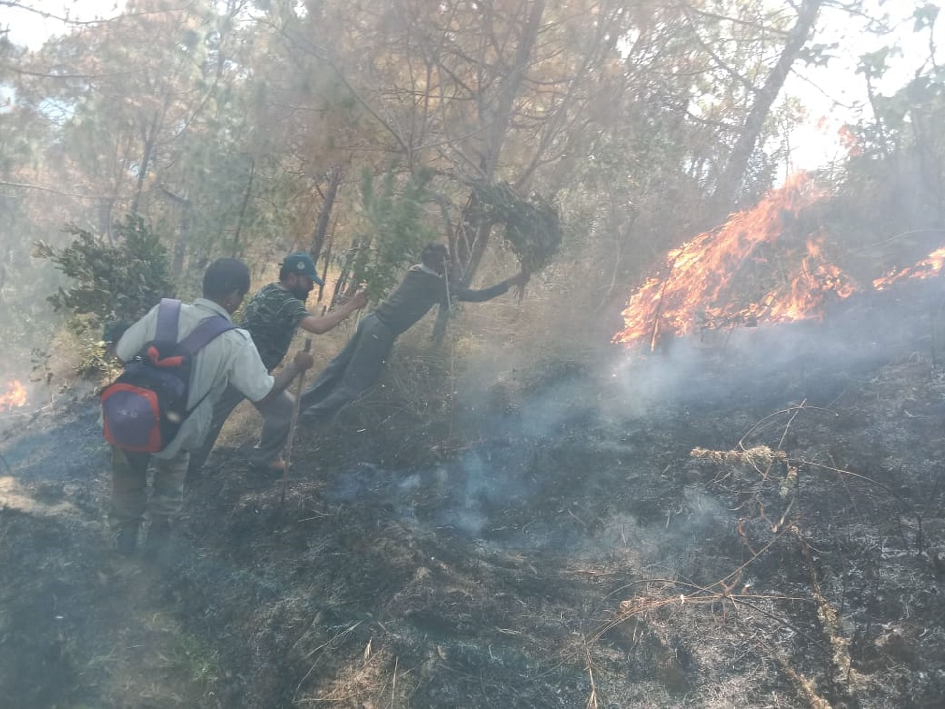 Forest Fire In 78 Places In Uttarakhand, More Than 106 Hectares Of ...