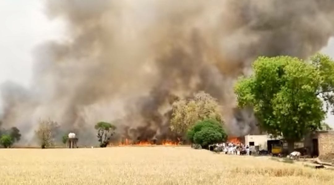42 acres of standing wheat crop burnt at two places in Ellenabad