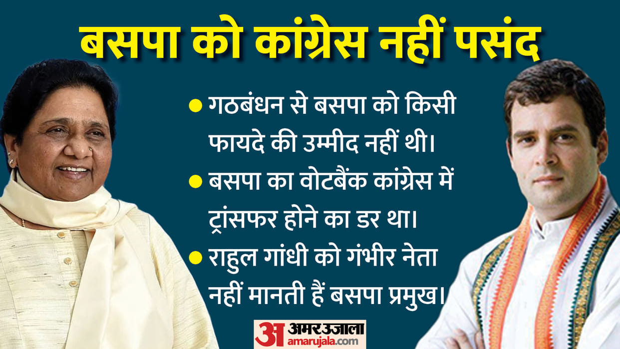 Mayawati vs Rahul Gandhi: Why BSP Not Tie Up with Congress Party Know 5 Big Reasons in Hindi