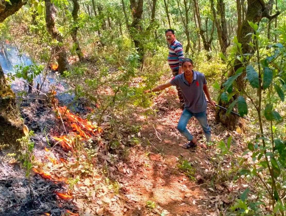 Then the jungles of Punethi burst into flames