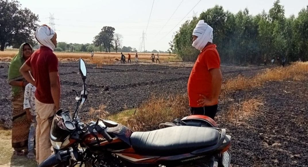 Kanpur Dehat: 42 bighas of wheat crop burnt due to fire, accountants assessed the damage