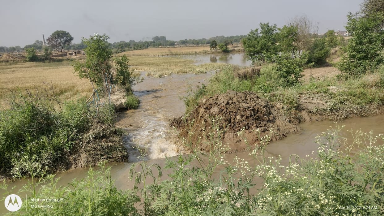 auraiya news,20 bigha crop submerged due to cutting of bamba's ditch