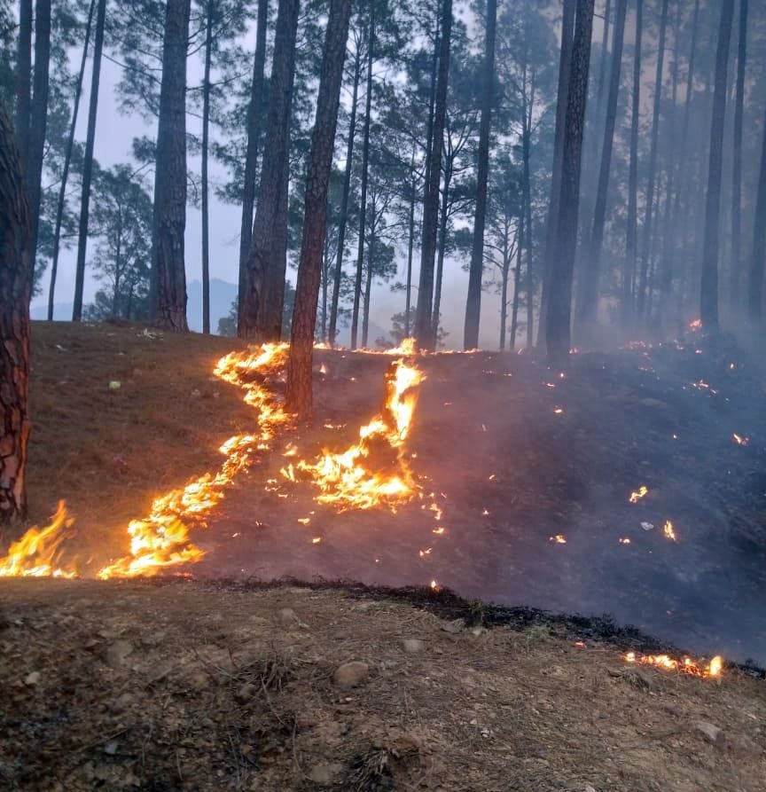 Forest Fire in Pithauragarh
