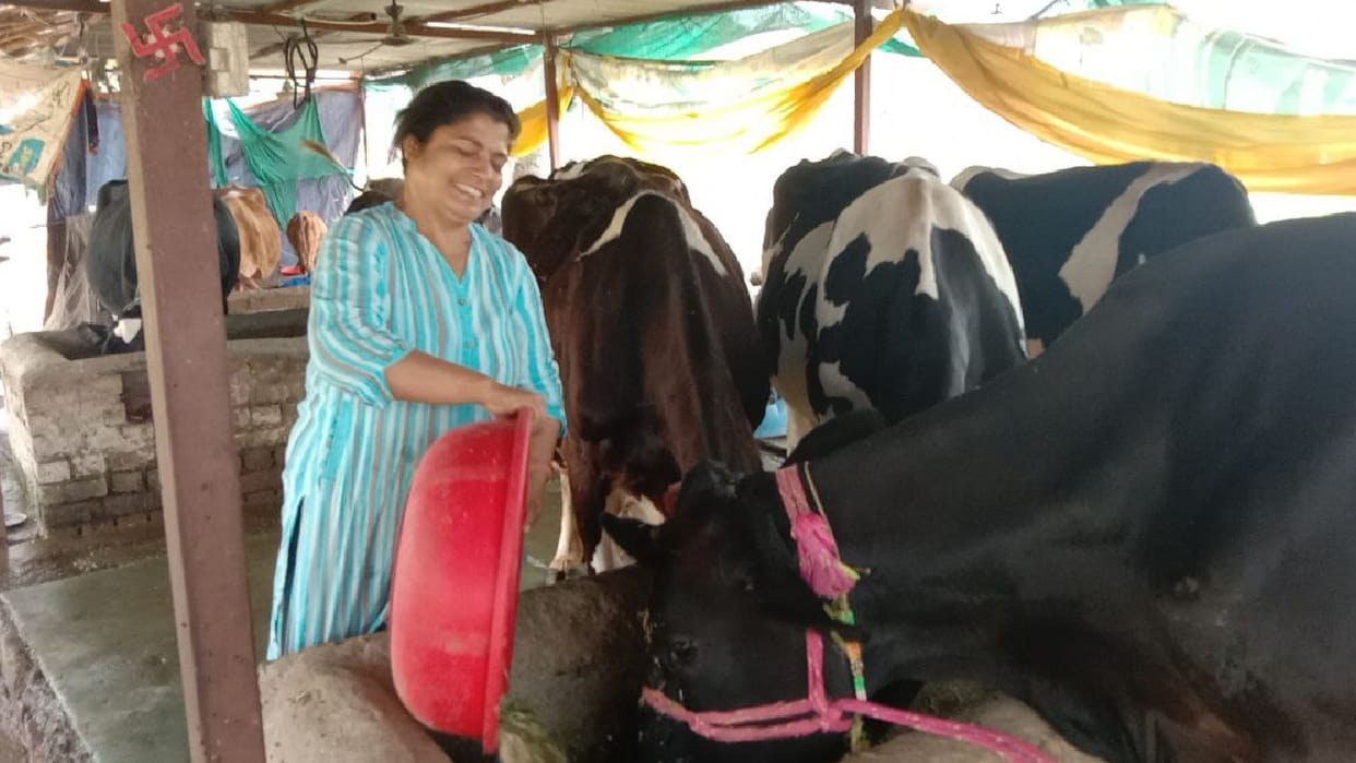 kathua Computer Engineer Sonika Sharma become Dairy Woman Successfully Running Gokul Dairy