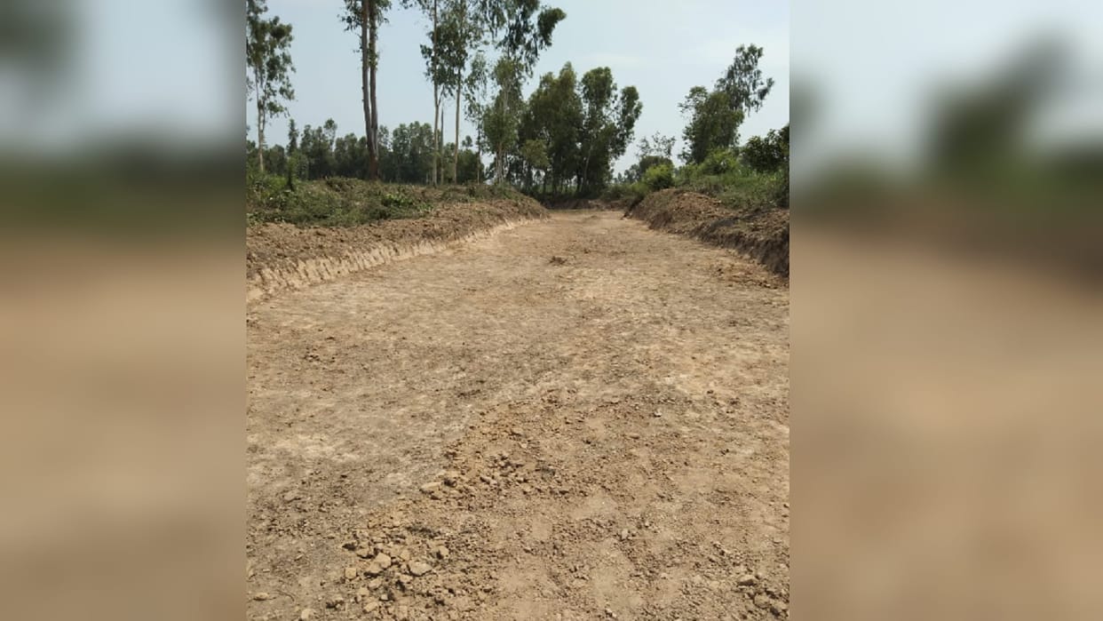 Bijnor : crops started growing in the sandy lands after getting water, work started to return the extinct rivers to their original form