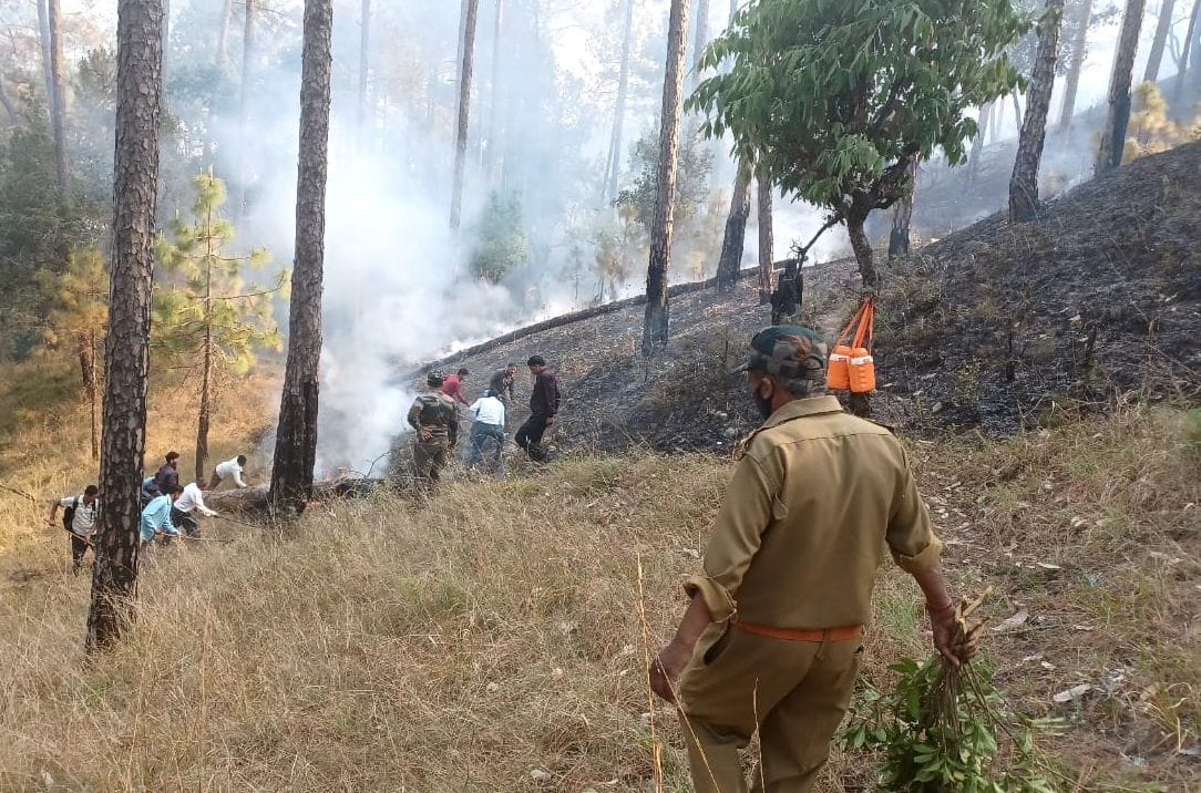 Forest Fire in Dalmoti Ranikhet
