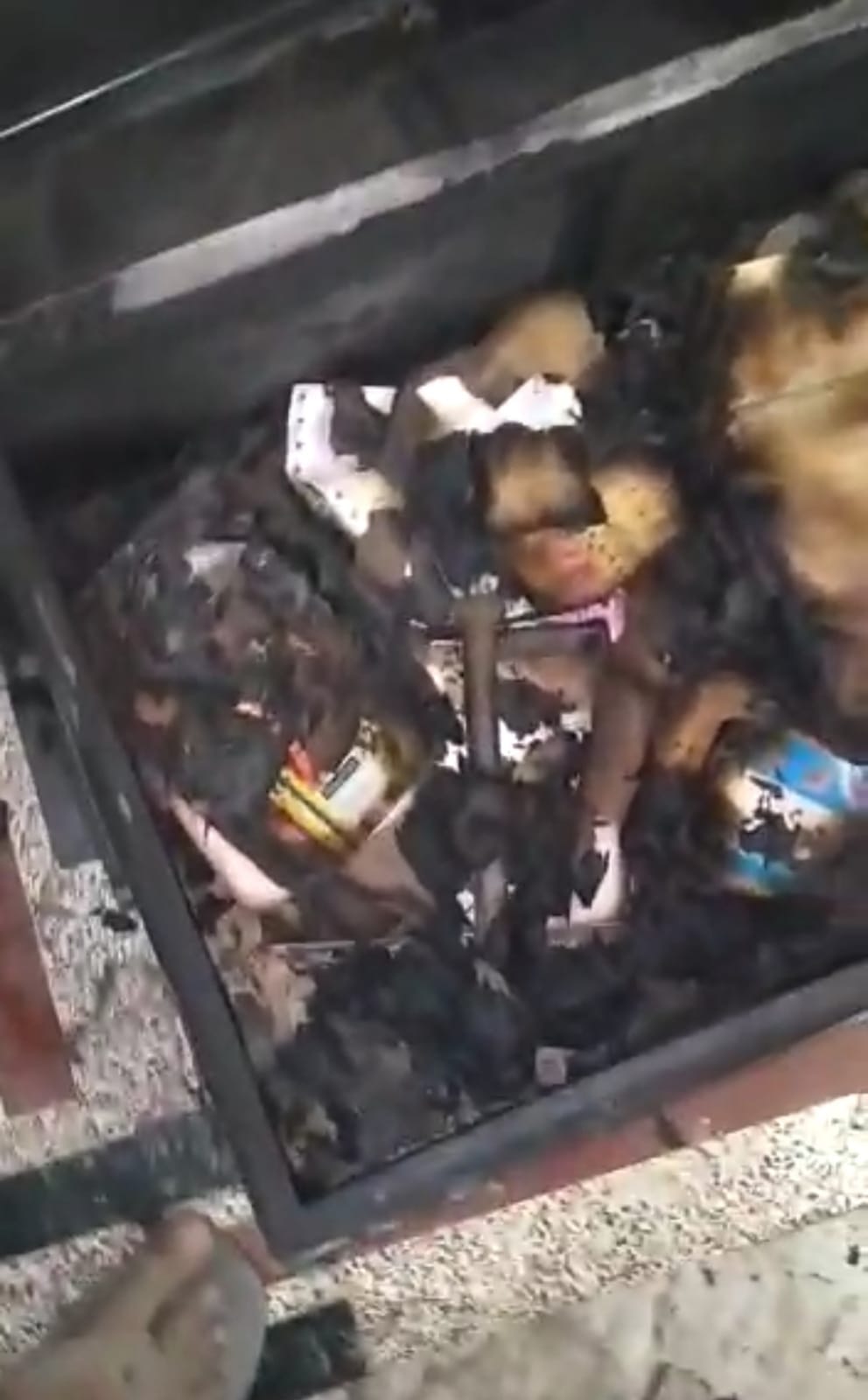 House burnt due to bush fire