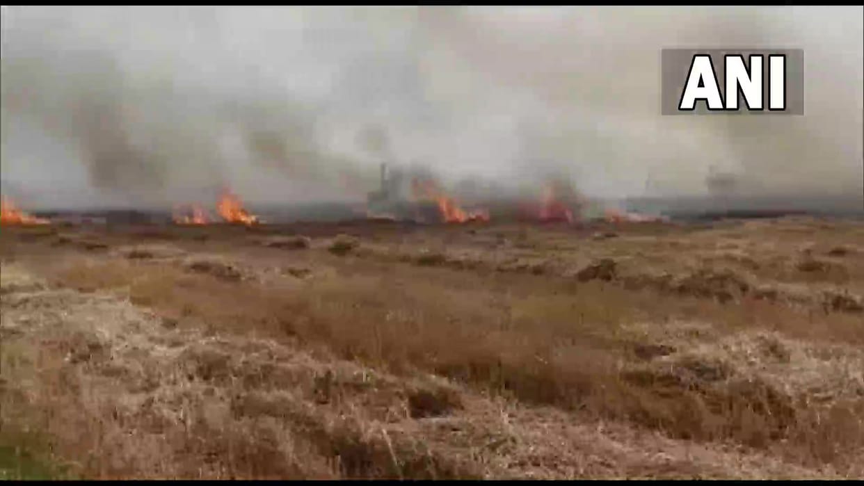 85 acres of wheat crop destroyed by fire in Kachhwa