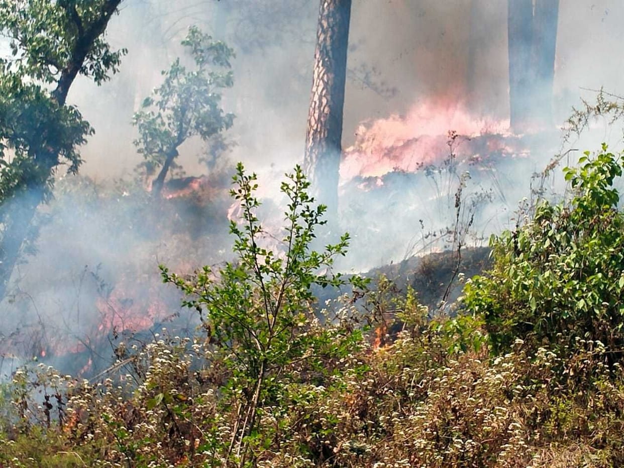 Forest Fire in Champawat