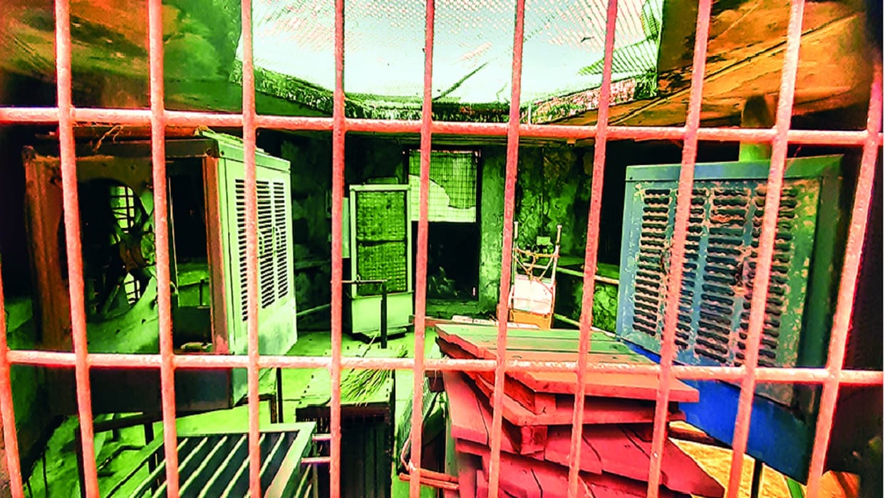 delhi zoo Cooler facility in the enclosure of lions, leopards, tigers and wild cats