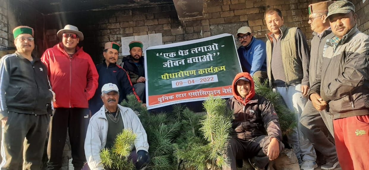 500 hundred plantation in nesang kinnaur