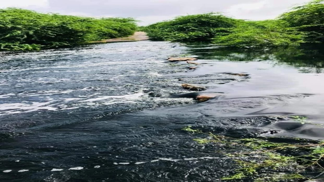 NGT imposed fine of four crores on RIICO Jodhpur and Barmer for polluting three rivers
