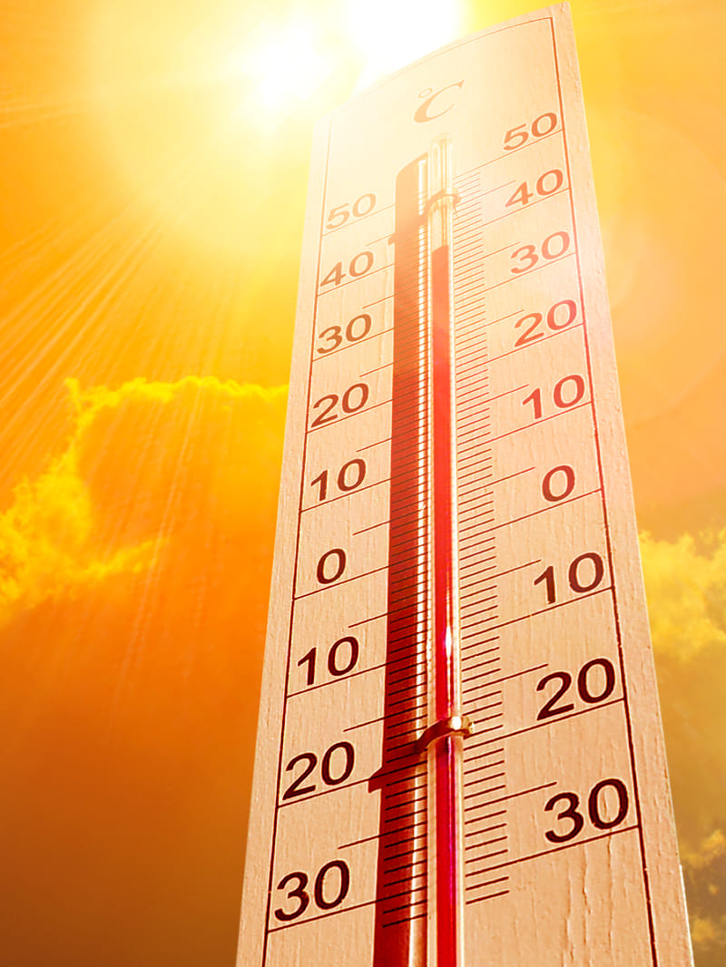 Bihar Weather Alert Today: Heatwave going on in many areas of Bihar, school closed in Muzaffar