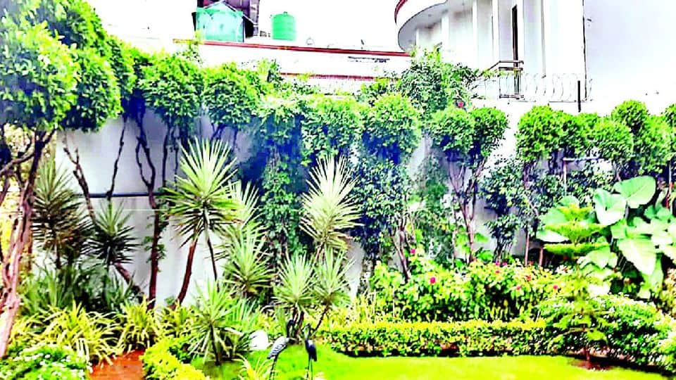 Agra Women growing fresh organic vegetables on rooftop vegetable garden