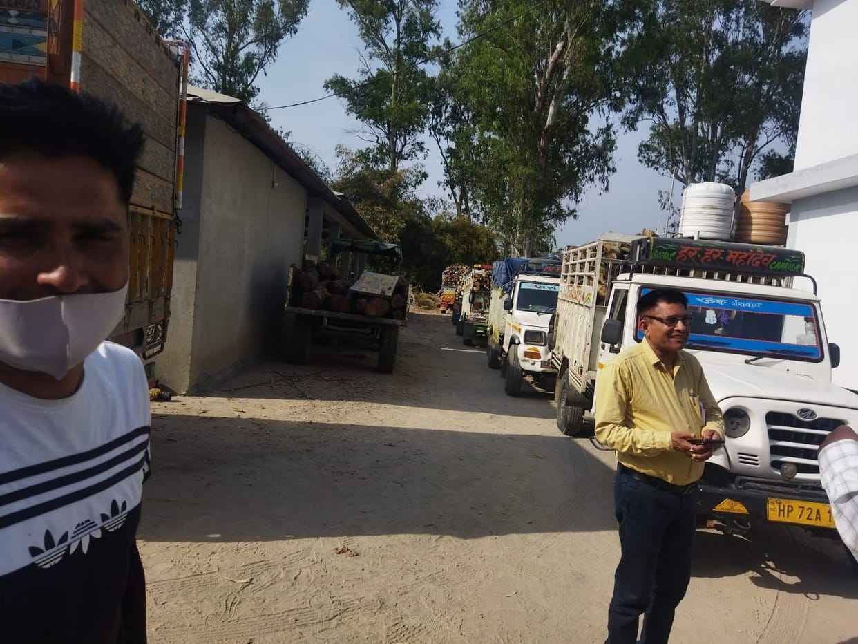 Seven cargo vehicles laden with illegal wood caught
