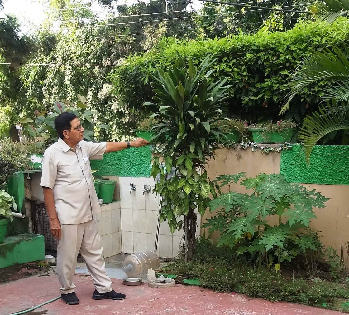 Rising temperature is fatal for vegetable crops, Kurukshetra