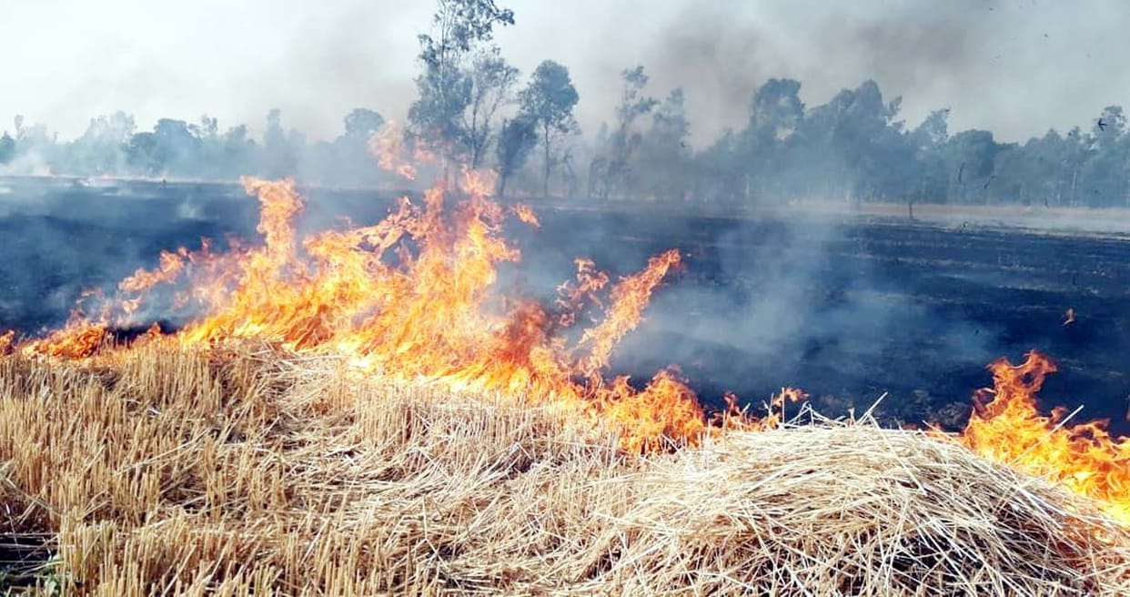 Narai and sugarcane burnt due to fire near Itaua
