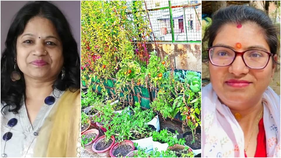 Agra Women growing fresh organic vegetables on rooftop vegetable garden