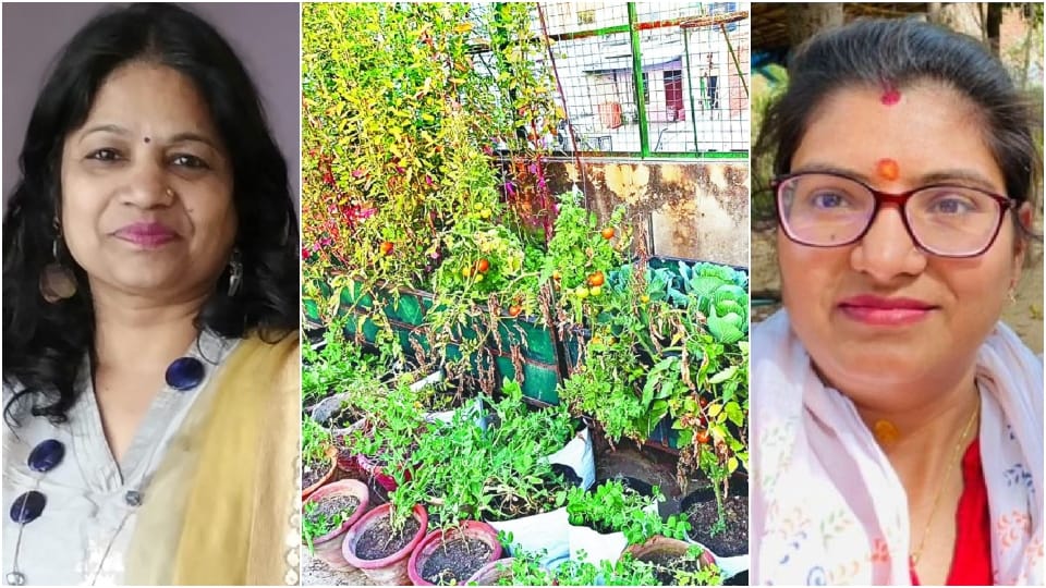 Agra Women growing fresh organic vegetables on rooftop vegetable garden