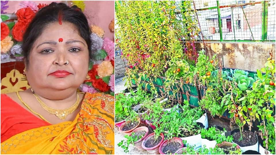 Agra Women growing fresh organic vegetables on rooftop vegetable garden