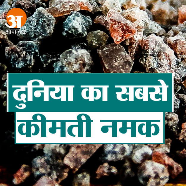 EXPENSIVE SALT MADE IN 50 DAYS PRICE