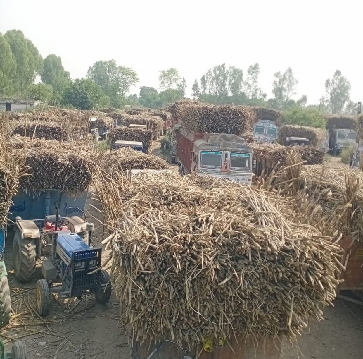Farmers face problem.