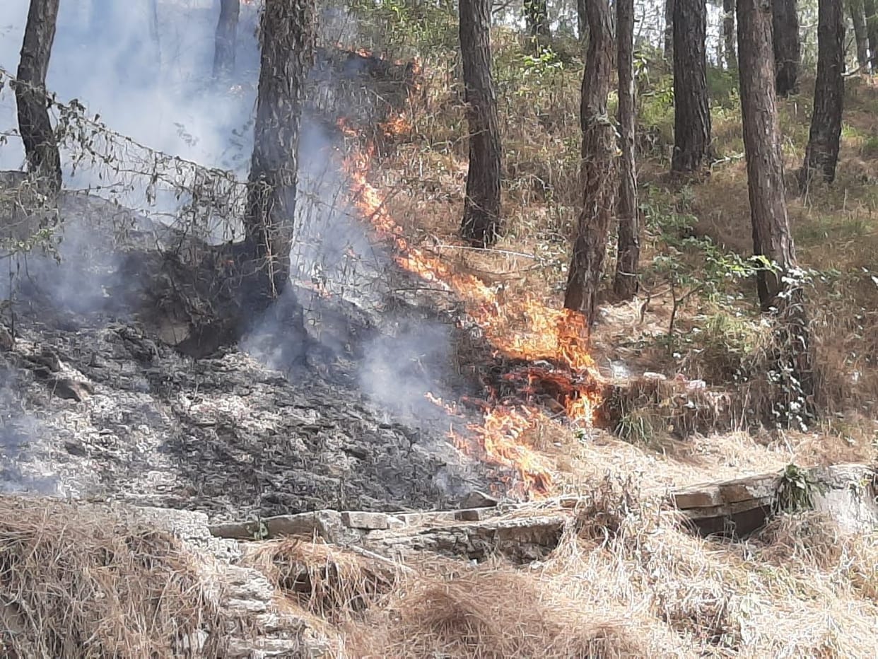 Forest Fire in Almora