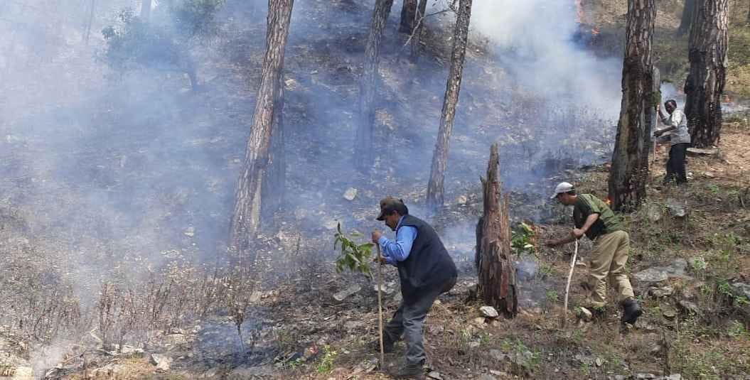 Forest Fire in Bageshwar