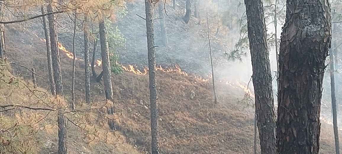 Forest Fire in Bageshwar