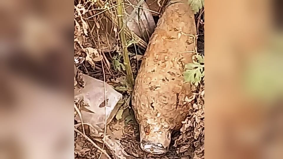 Mortar Bomb Found near indo pak border in Tarantaran