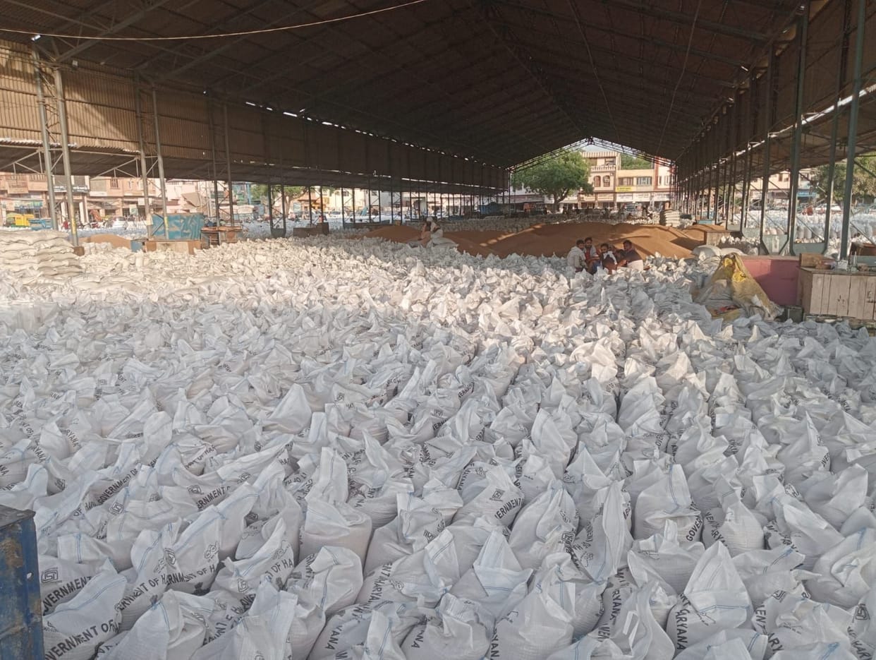 Wheat procurement being done for 7 days, only five percent off