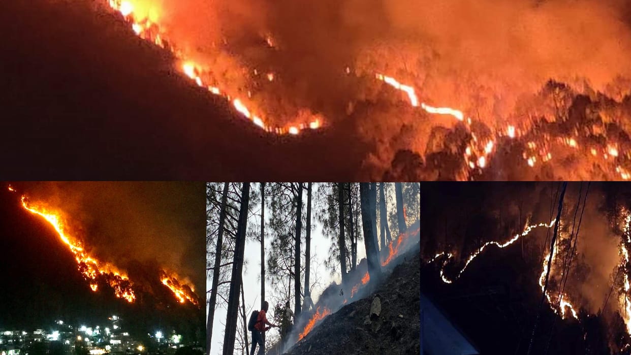 Forest fire on Varunavat mountain became uncontrollable, forest workers scorched, forests burning at 88 places, See photos