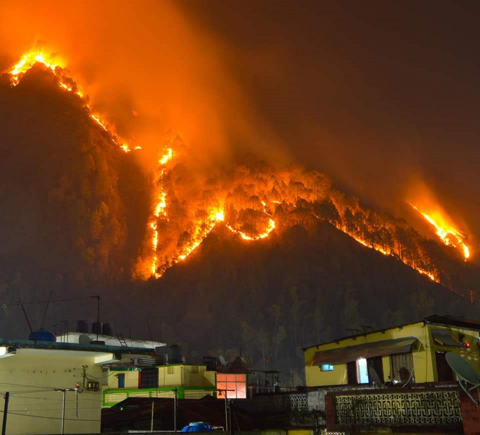 Forest fire on Varunavat mountain became uncontrollable, forest workers scorched, forests burning at 88 places, See photos