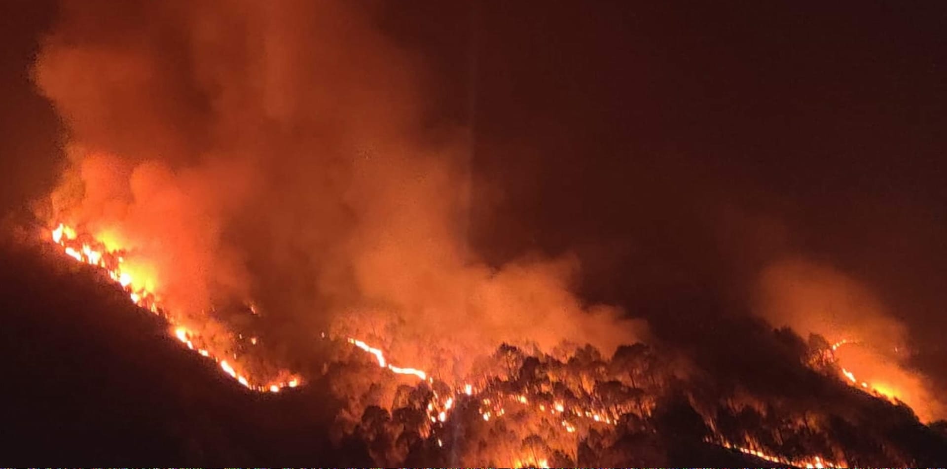 Forest fire on Varunavat mountain became uncontrollable, forest workers scorched, forests burning at 88 places, See photos
