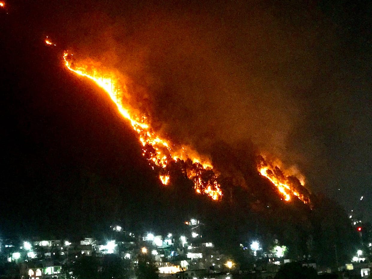 Army and paramilitary forces will be taken to stop forest fire, power lines passing through forests wil investigated