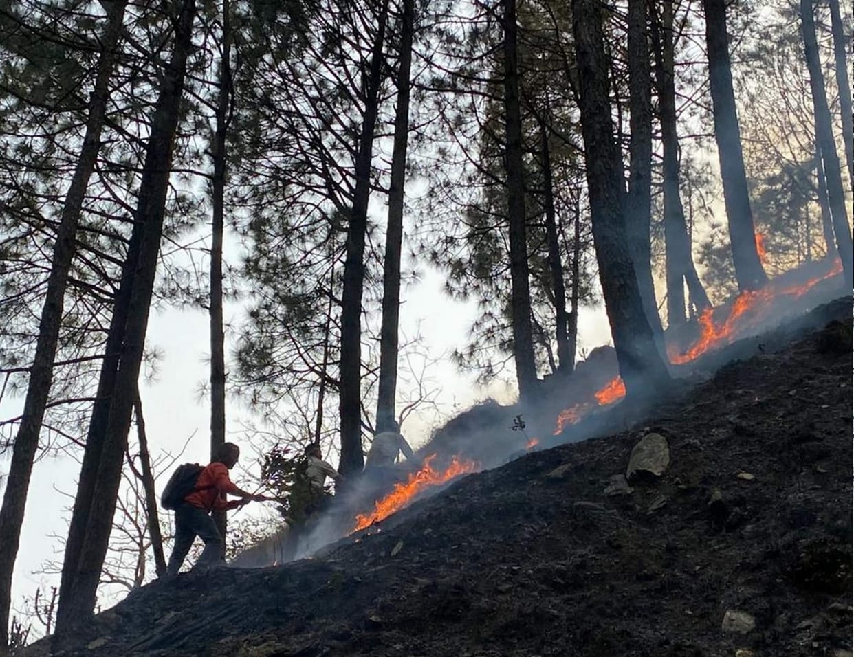Uttarakhand News: प्रदेश में एक दिन में 78 स्थानों पर लगी जंगल में आग, 647 पर पहुंचा वनाग्नि का आंकड़ा