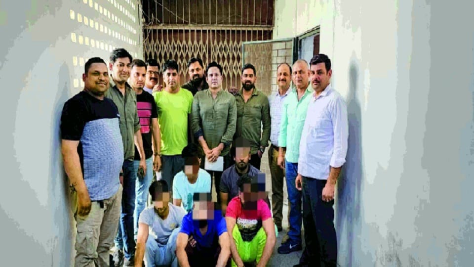 come to delhi from up for cow slaughting five arrested by police