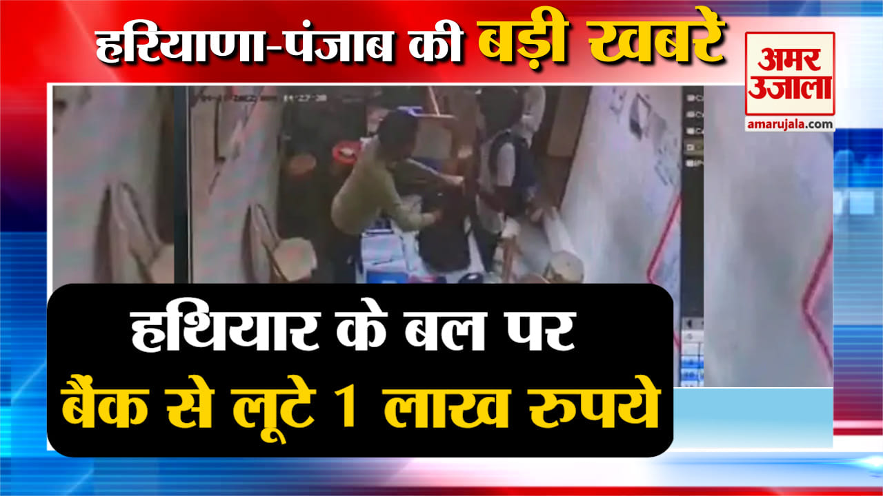 हरियाणा न्यूज