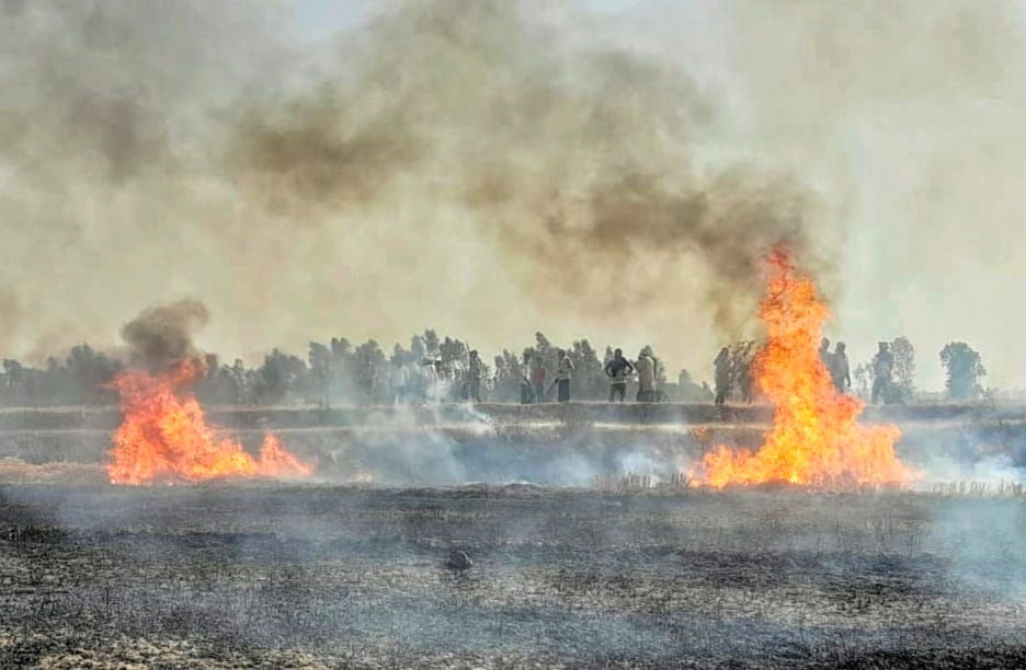 Crop of three farmers ashes due to fire in the field