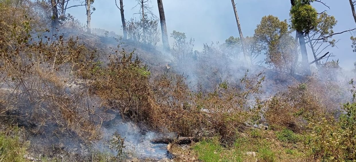 forest fire on 32 places in kumaun