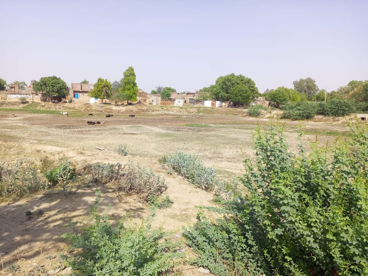 Dust blowing in ponds, animals and birds are in trouble
