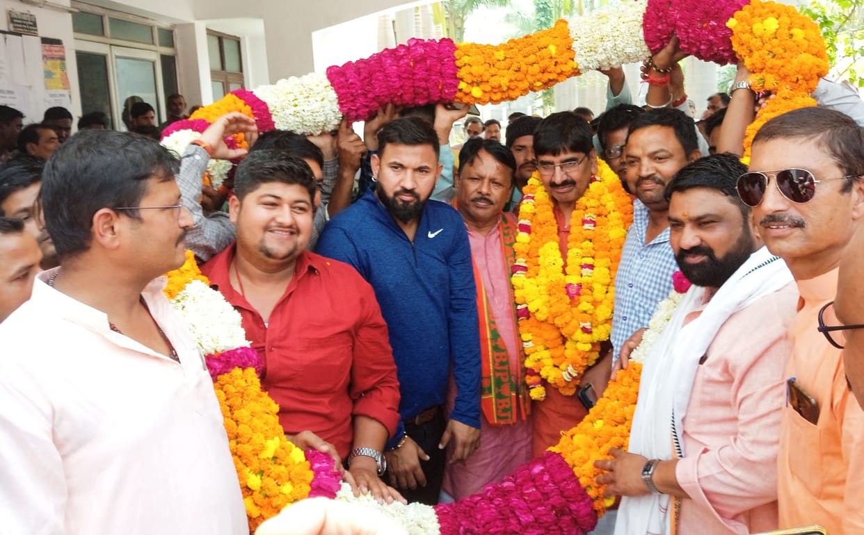 election,political,MLC