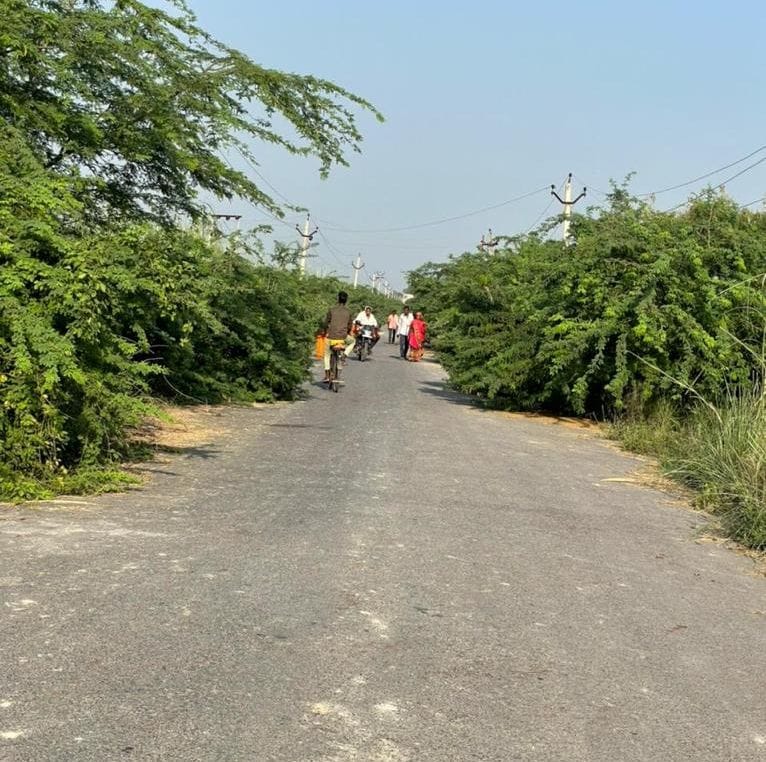 development work stop
