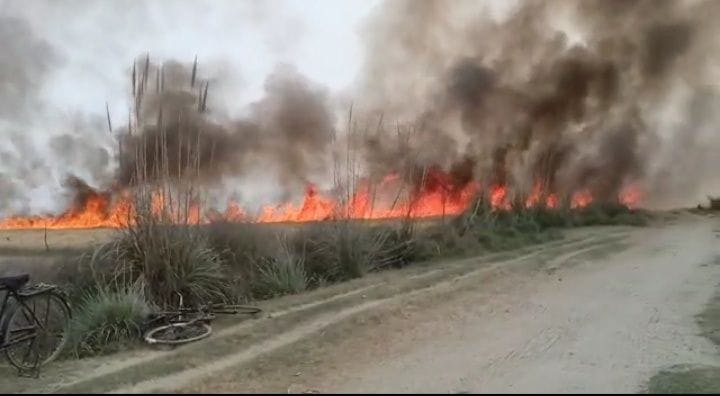 crop caught fire