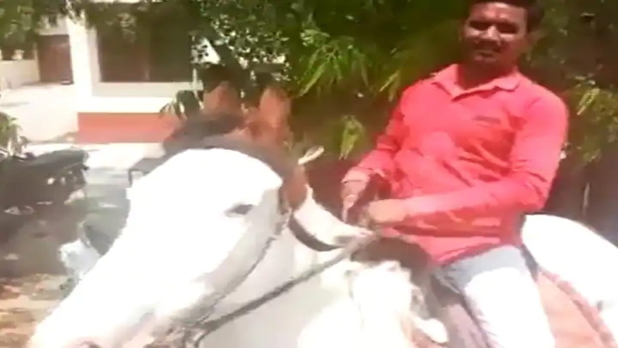 person reached on horse to appear in court in Ajmer due to increase price of petrol