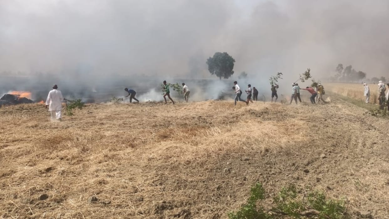 80 acres of wheat crop burnt in the fields of Akalgarh village of Jind